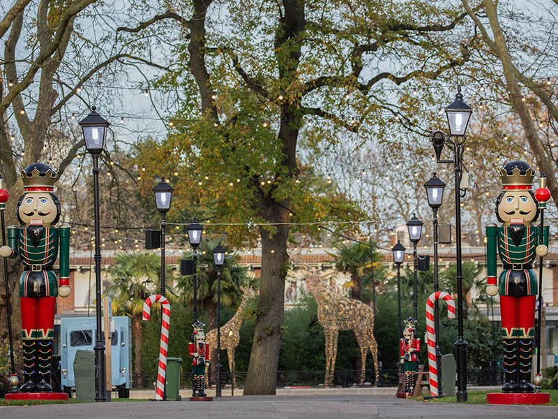 The Magic of Christmas at ZSL London Zoo