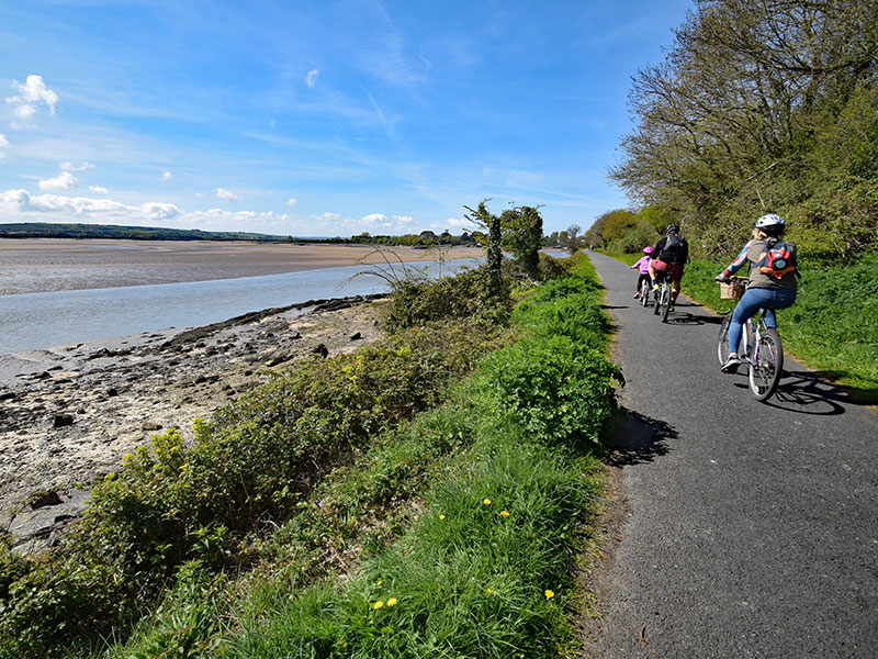 A family of cyclists on the Tarka Trail next to the River Taw, near Barnstaple, Devon, UK