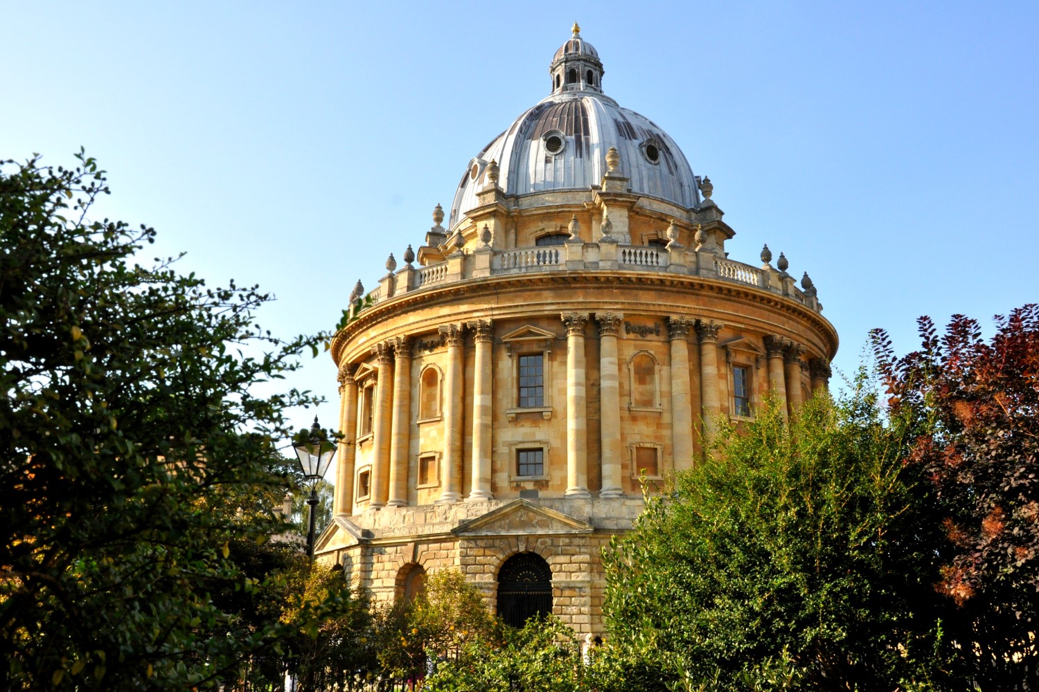 Exterior shot of the Radcliffe Camera at the University of Oxford, framed by trees in the foreground on a clear, blue day.