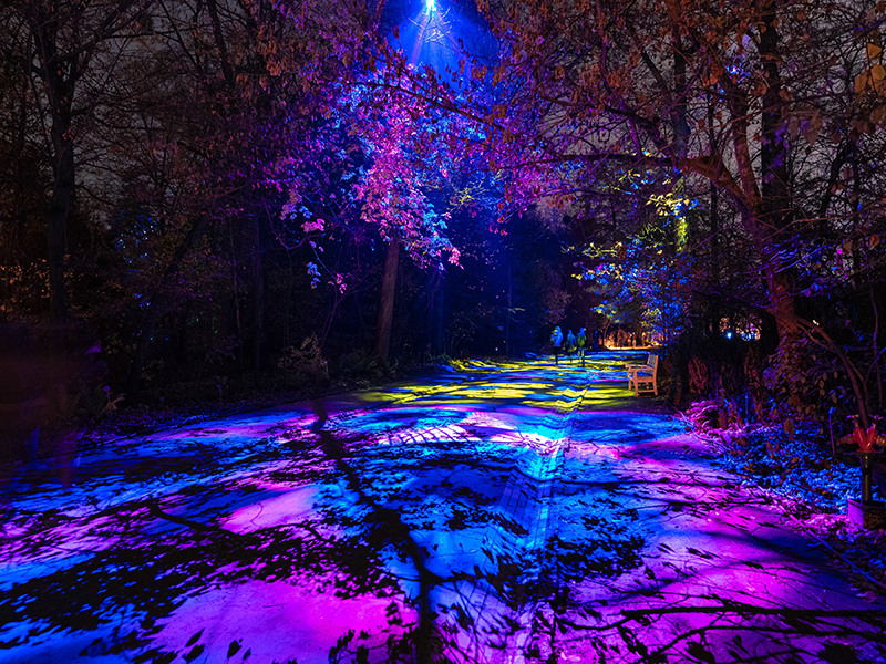 Windsor Park Garden illuminated at night for the Windsor Illuminations event