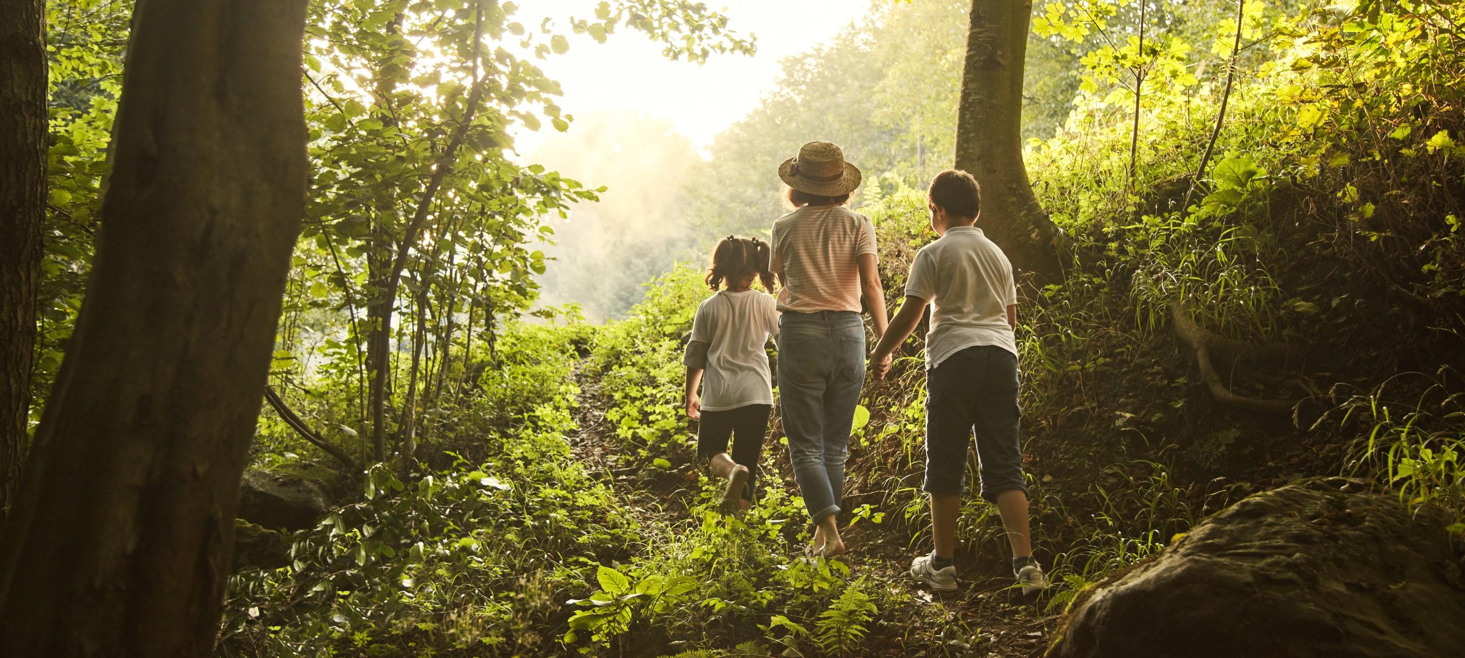 Photo of a family walking through a woodland