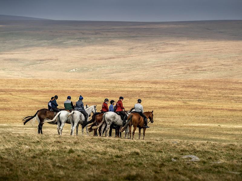 Horseback trek in Dartmoor