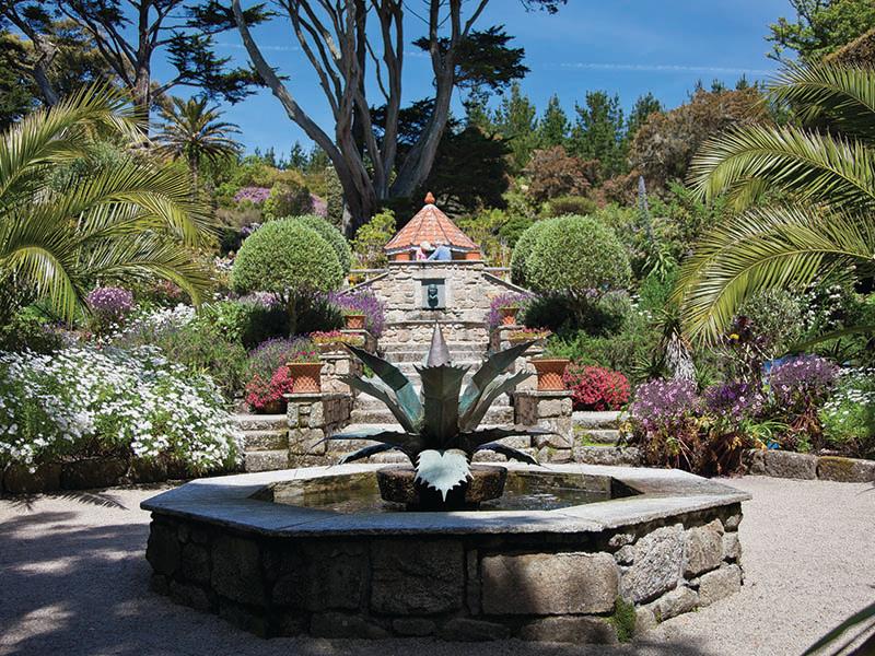 The Tresco Abbey Gardens in the Isles of Scilly 