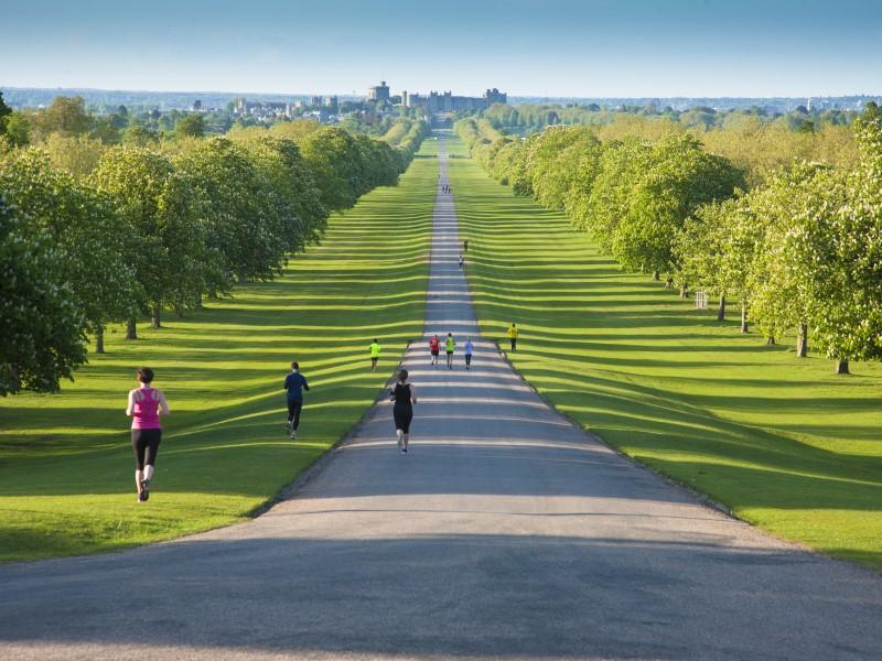 The Long Walk approaching Windsor Castle