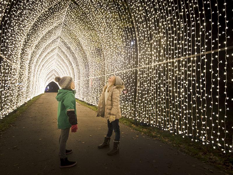 Immersive family fun when you visit Kew Gardens this winter