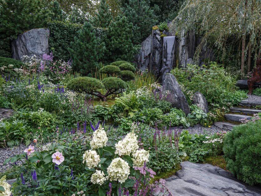 Image of garden with plants and white, blue and purple flowers